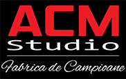 Modelele ACM